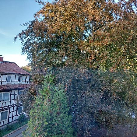 Gemütliche Ferienwohnung im Harz Bad Grund Exterior foto